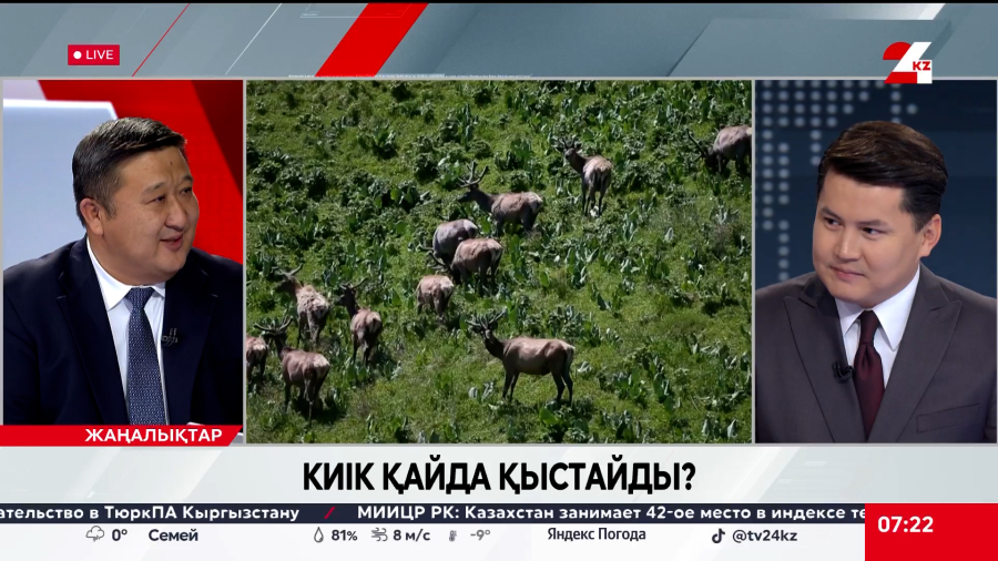 Киік қайда қыстайды? Айбек Әліпбай