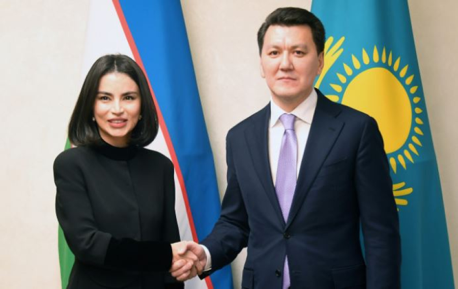 Ерлан Карин встретился с Саидой Мирзиёевой