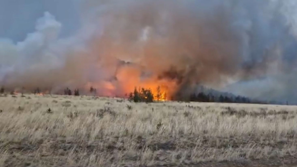 Степной пожар в Баянаульском районе локализован