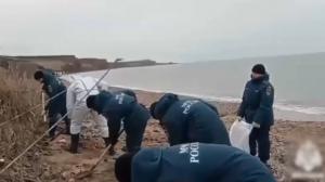 С побережья Черного моря собрали 64 тысячи тонн загрязненного мазутом грунта