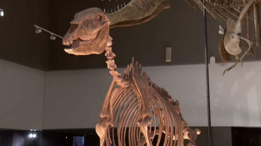 18 мамыр – Халықаралық музейлер күні