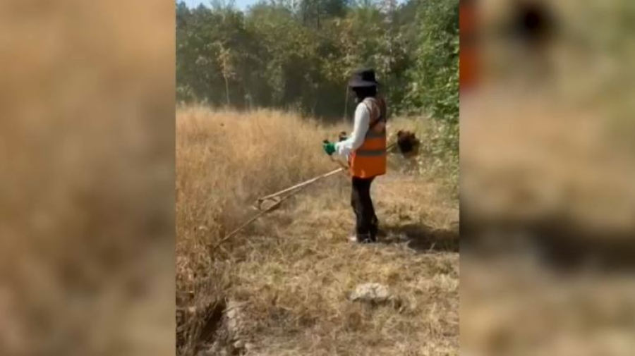 Пятый класс пожарной опасности установлен в Алматы