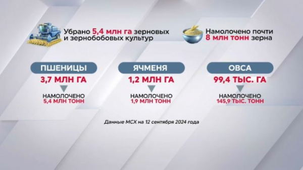 Почти 8 млн тонн зерна намолочено в Казахстане