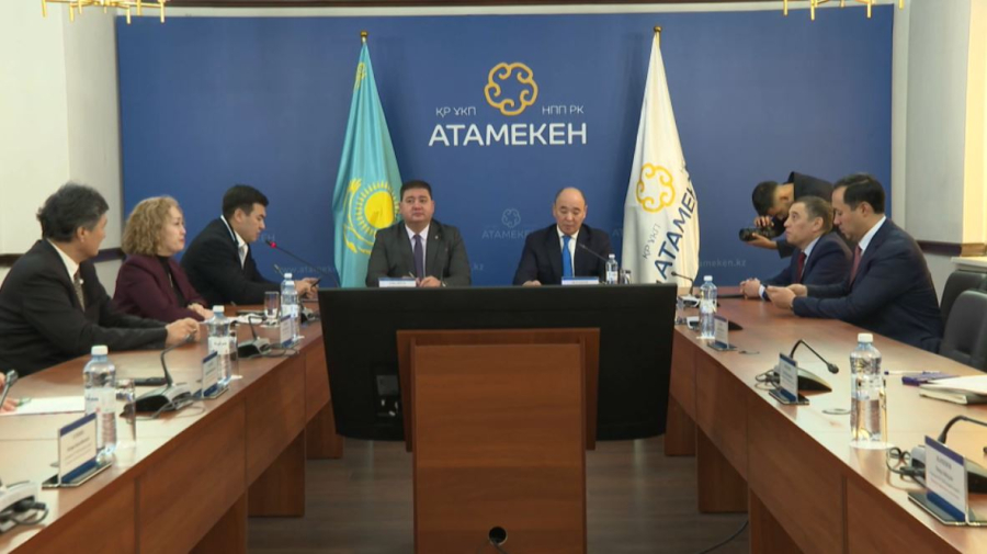 Жаңа Конституция жобасы: бизнес пен диалог