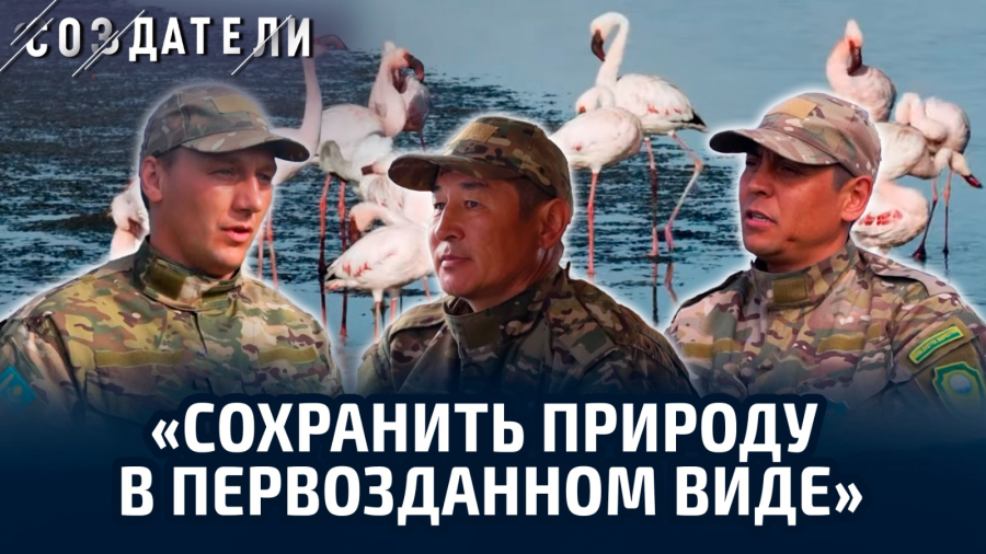 Что происходит с природой Коргалжынского государственного заповедника
