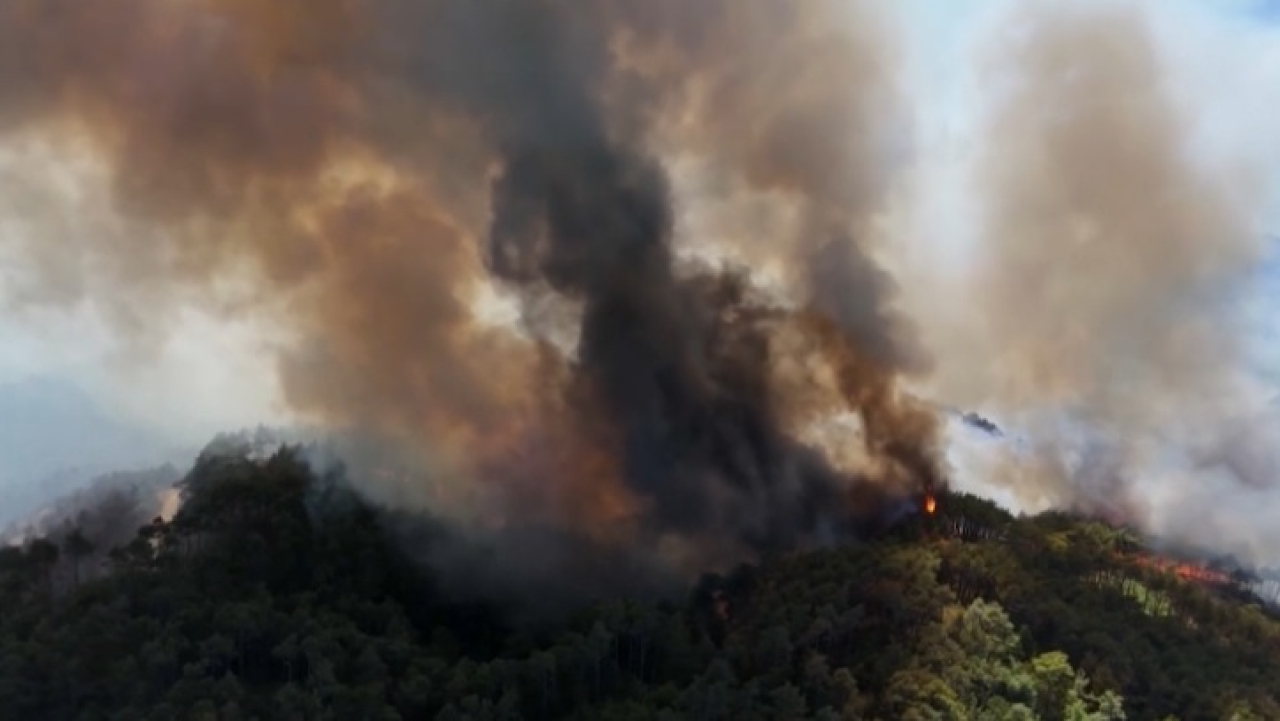 Пожары в Латакии пытаются потушить восьмой день подряд