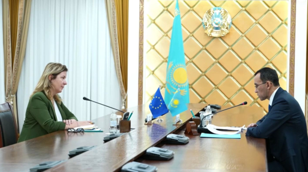 Проект новой Конституции: защита прав человека и укрепление партнёрства с ЕС