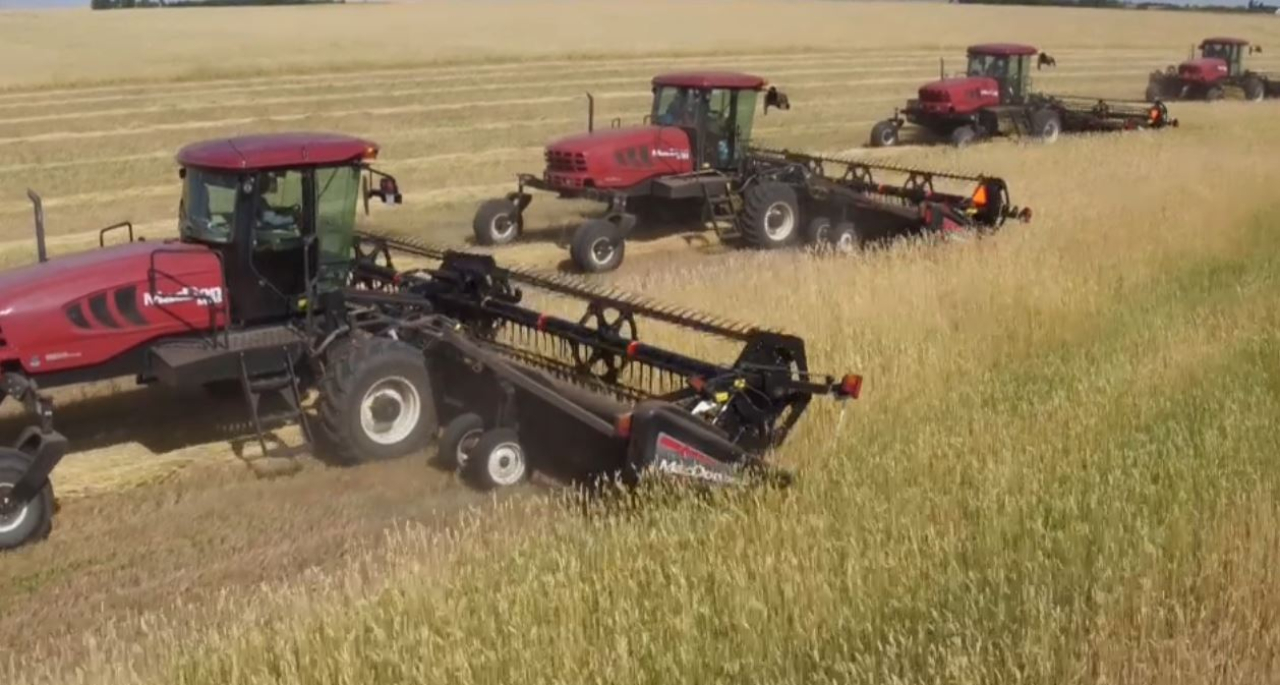 Более 3,5 тыс. нарушений выявлено в сфере фитосанитарного контроля