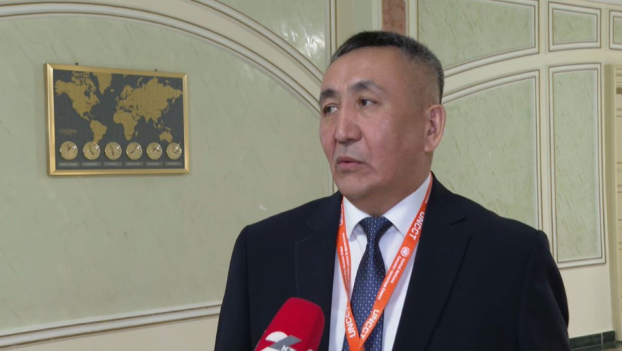 Соңғы 13 жылда Таяу Шығысқа 850 қазақстандық өз еркімен барған