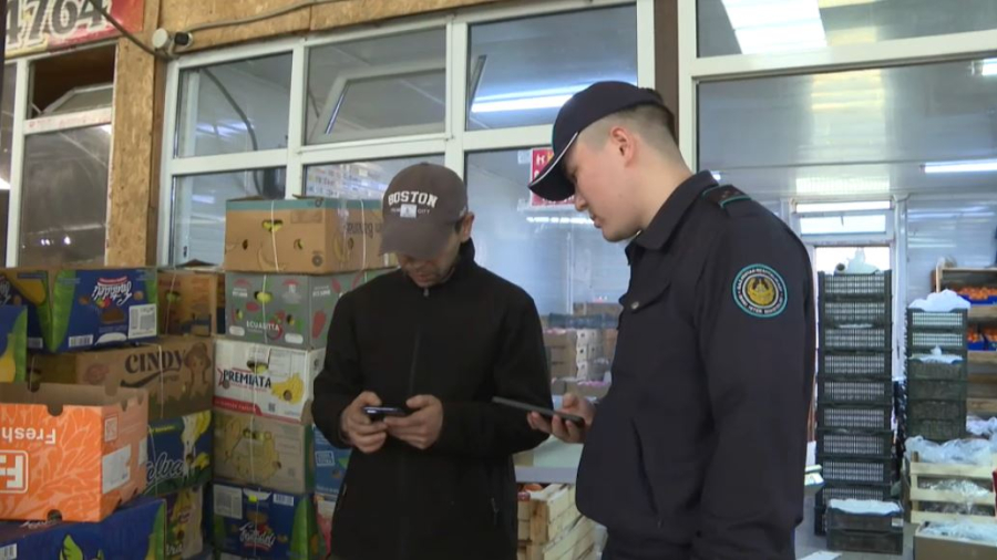 Более 250 нарушений миграционного законодательства выявили в Таразе