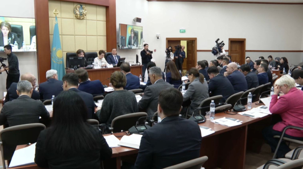 Повышение ставки НДС обсудили в Мажилисе