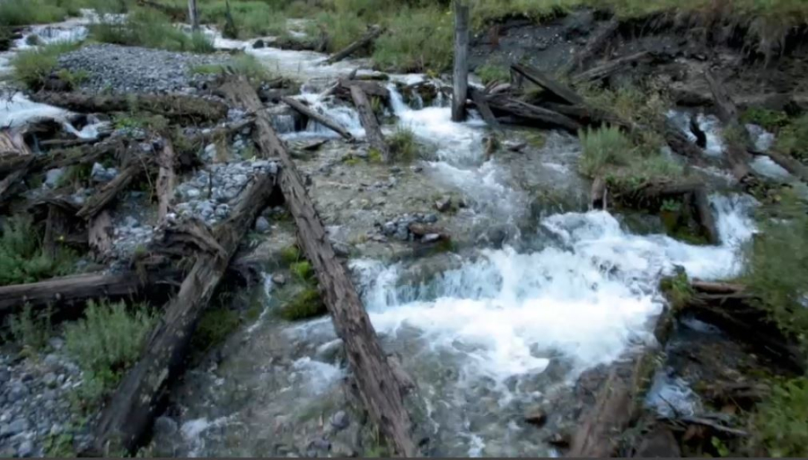 Балқашты жағалап, Алакөлге баратындар көп