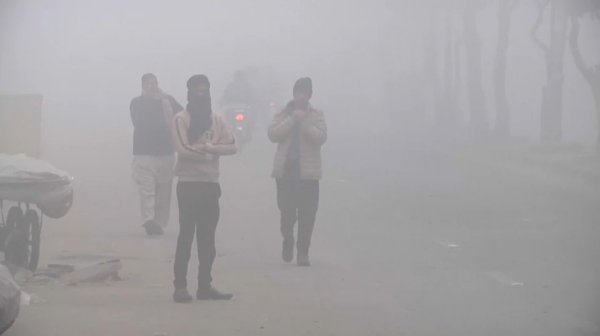 В Китае искусственный интеллект помогает развивать сельское хозяйство