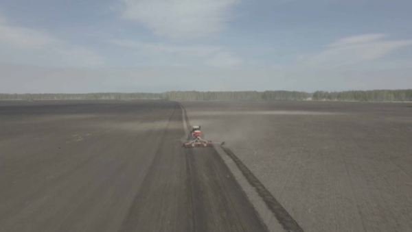 Аграрии СКО увеличивают посевы масличных культур