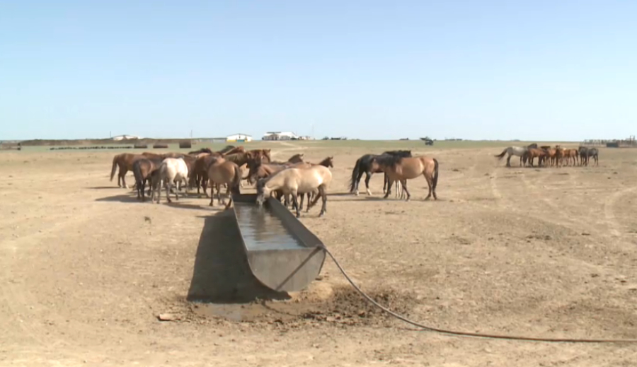 «Ауыл аманаты»: займы получили 18 тысяч сельчан