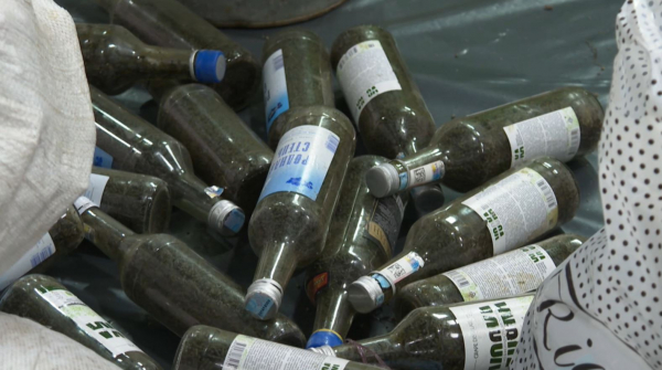 Насыбайға қарсы рейд. 500-ден астам сауда орынына тінту жасалды