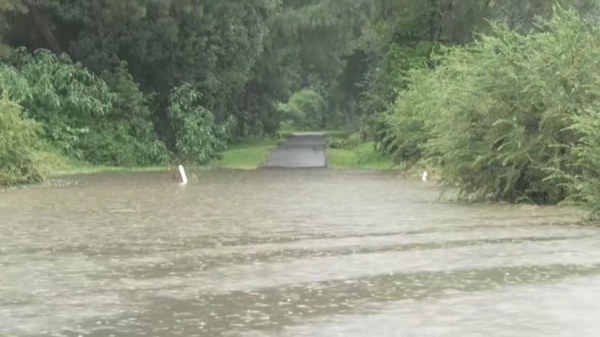 Австралияда дауыл тұрып, 320 мың тұрғын жарықсыз қалды