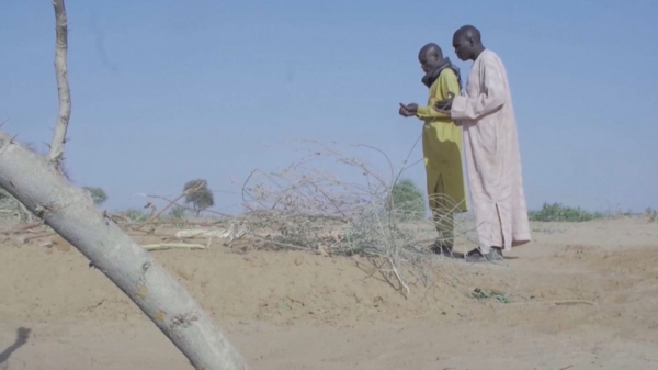 Нигерияда мектепте жарылыс болды