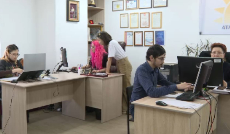 Больше 33 тысяч человек трудоустроили по программе «Молодёжная практика» в 2024 году