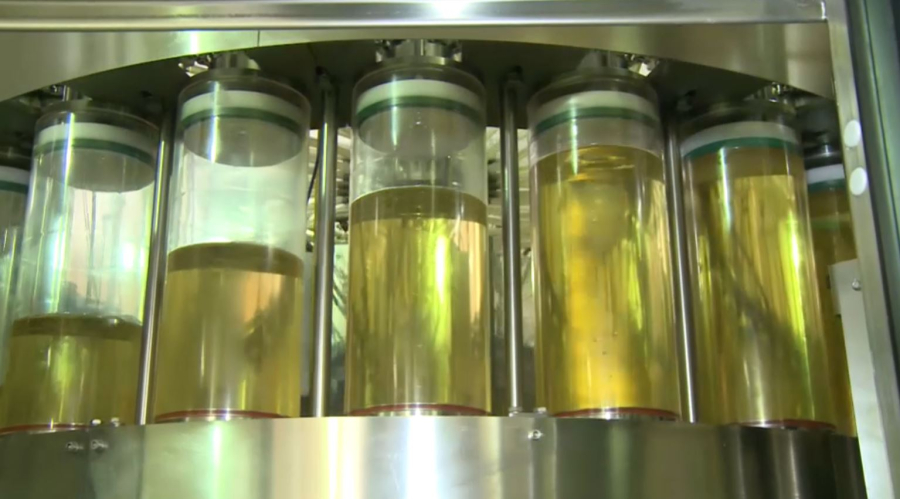 Елімізде май өнімдерінің экспорты артады