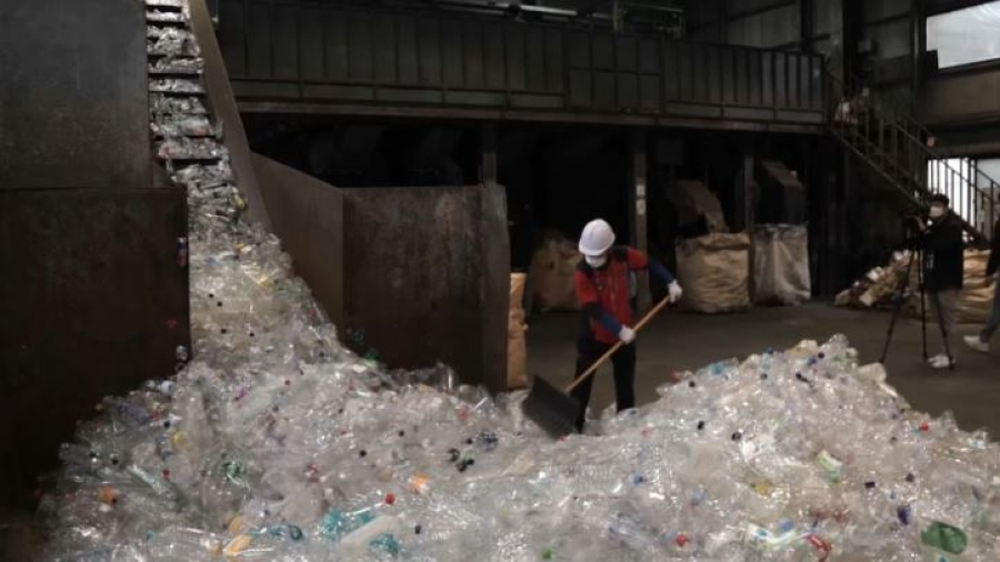 Экологи Южной Кореи бьют тревогу