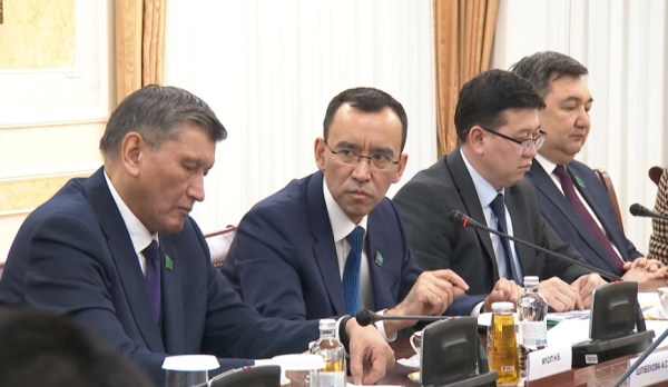 Перспективы развития образования обсудили в Сенате