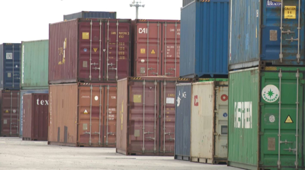 Панфиловский район области Жетысу расширяет экспортный потенциал