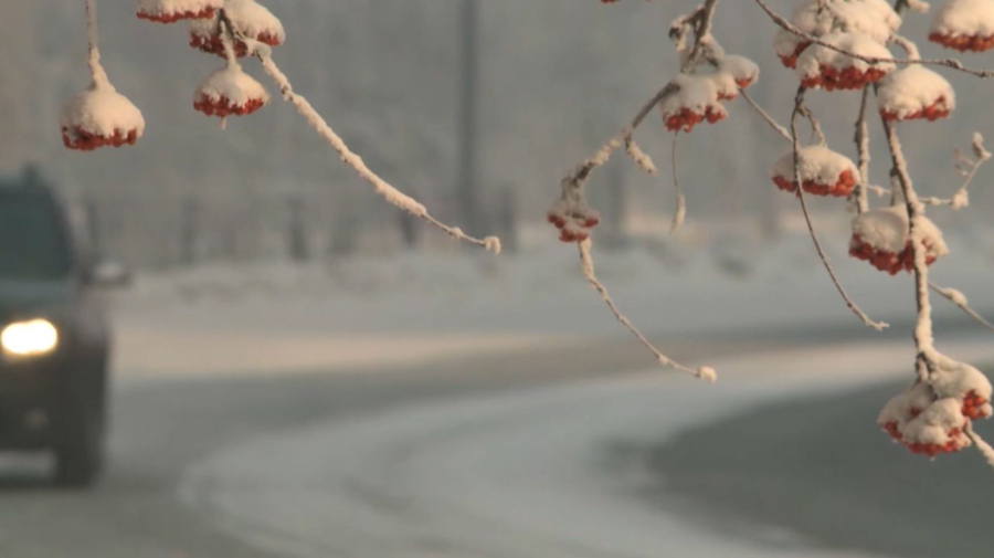 Снег, ветер, метель: штормовое предупреждение объявлено в РК