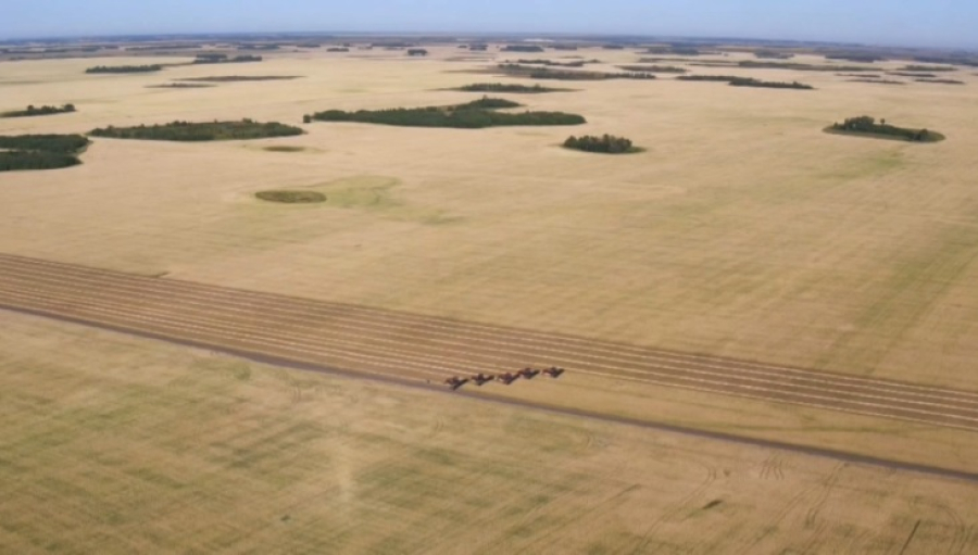 Форвардный закуп: Продкорпорация перечислила фермерам ₸6,4 млрд