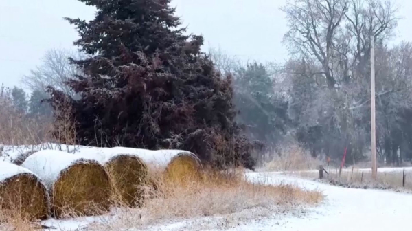 АҚШ-та қалың қардан 240 мың үй жарықсыз қалды
