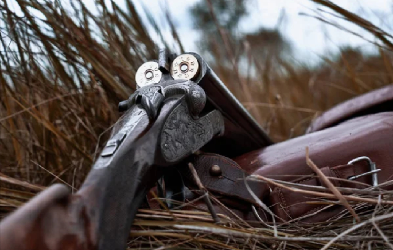 Браконьеров задержали в Павлодарской области