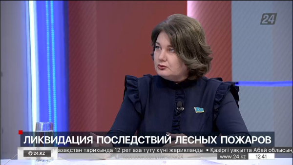 Ликвидация последствий лесных пожаров. Ольга Булавкина