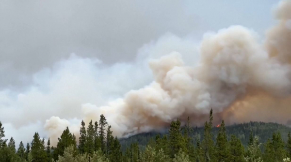 Лесные пожары в Канаде стали рекордными по количеству вредных выбросов