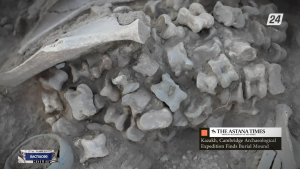 Археологтар Қазақстанда қола дәуіріндегі қыздың қорғанын тапты