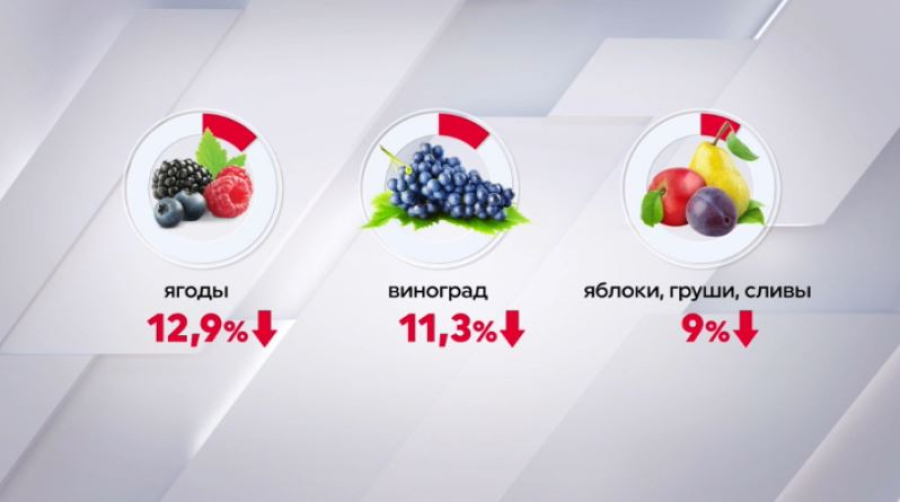 Сбор фруктов и ягод сократился в Казахстане