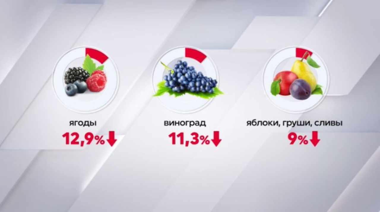 Сбор фруктов и ягод сократился в Казахстане