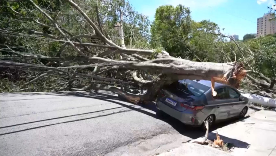 Бразилияда дауылдан екі миллион адам жарықсыз қалды