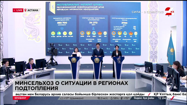 Минсельхоз о ситуации в регионах подтопления. Брифинг