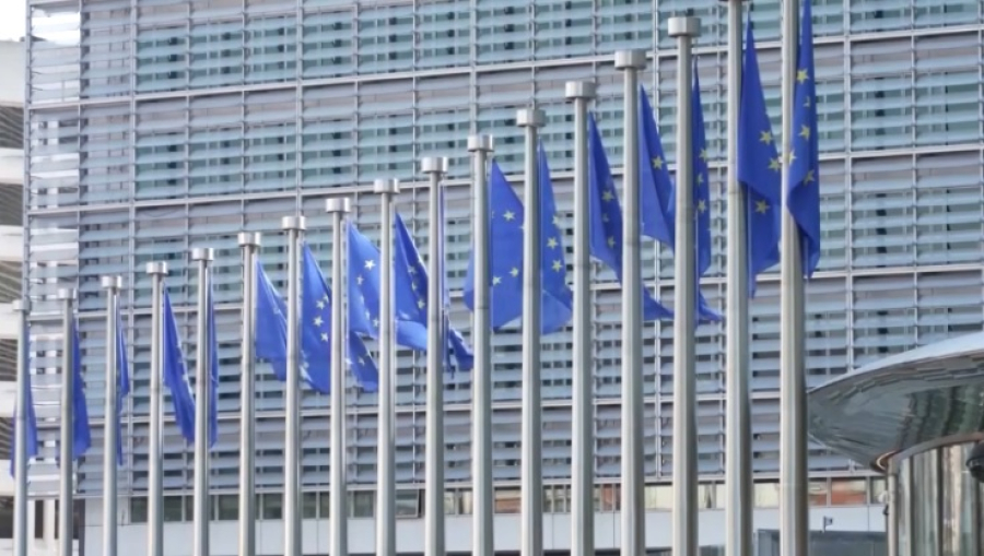 Европейские лидеры примут участие во встрече Зеленского с Трампом