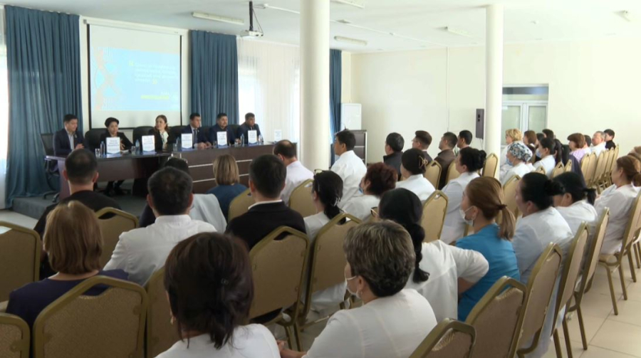 Сенаторы обсудили проект новой Конституции с медиками Шымкента