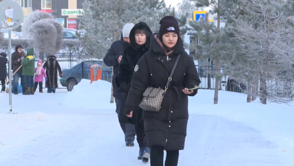 Мажилис одобрил законопроект по защите прав женщин и детей