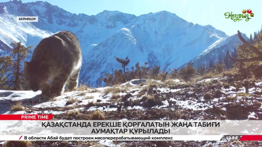 2026-2035 жылдарға арналған биоалуандықты сақтау тұжырымдамасы қабылданды