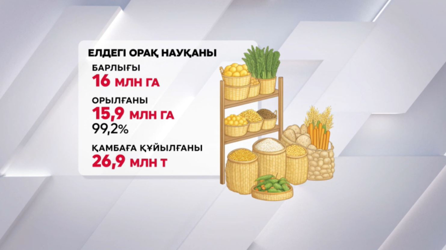 Қазақстанда 26,9 млн тонна астық бастырылды