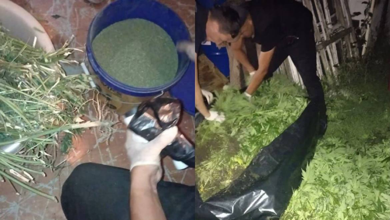 56 кг марихуаны изъяли у сельчанина в Актобе