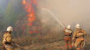 Лесной пожар угрожает поселку в области Абай