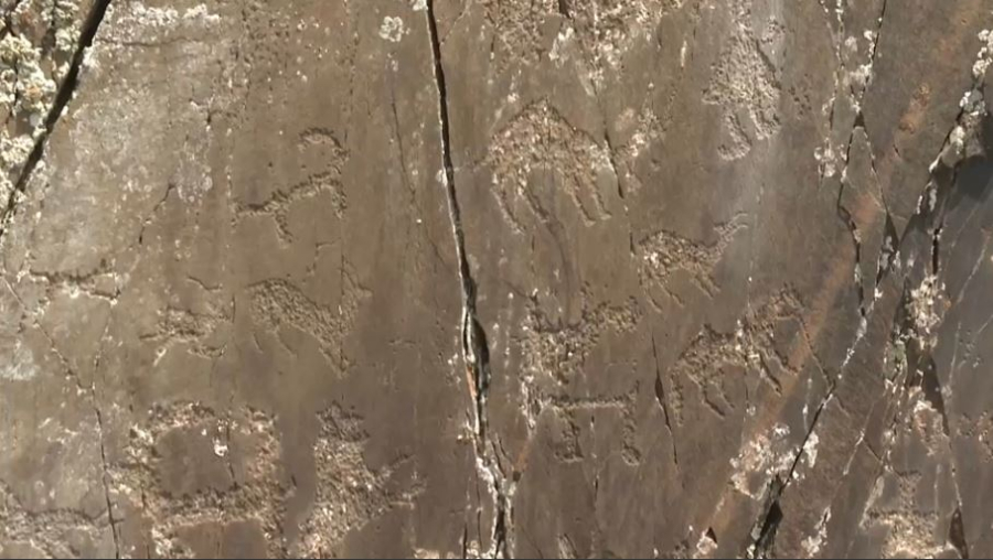 Жамбыл облысында 1200-ден астам петроглиф табылды