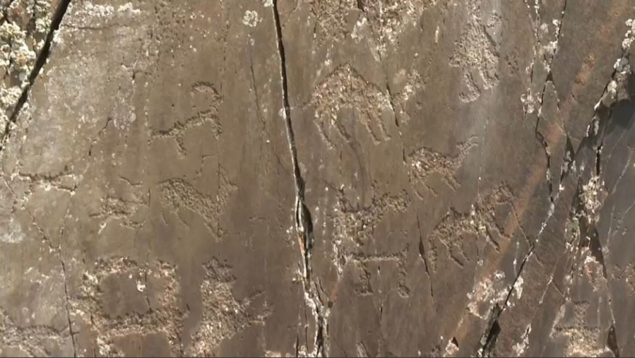 Жамбыл облысында 1200-ден аса петроглиф табылды