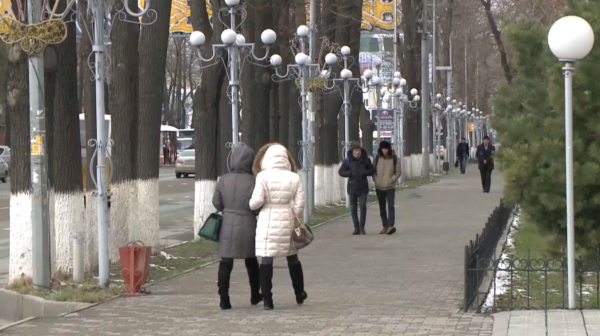 Выделенные на благоустройство дворов бюджетные деньги похитили в Шымкенте