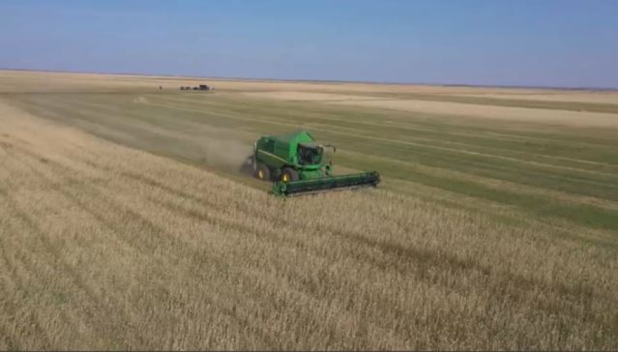 Астық өндірушілерге берілетін субсидия мерзімі ұзартылды