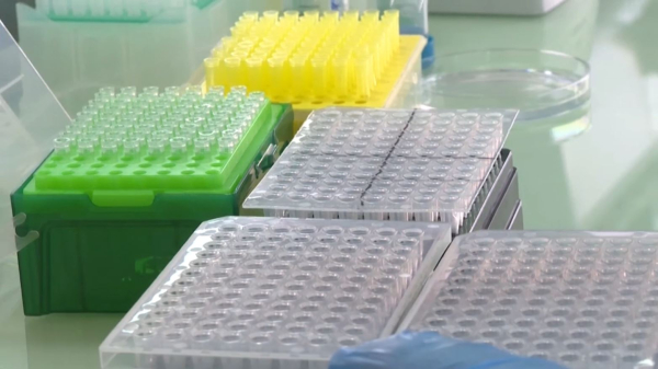 ДНҚ тапсыру арқылы өз руыңызды анықтай аласыз